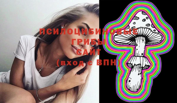 мяу мяу мука Гусь-Хрустальный
