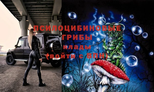 марки lsd Гусиноозёрск