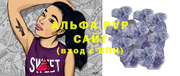 мяу мяу мука Гусь-Хрустальный