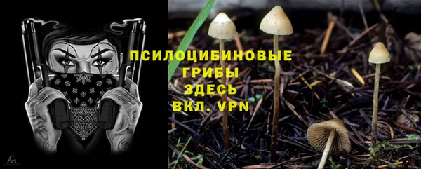 мяу мяу кристалл Гусев