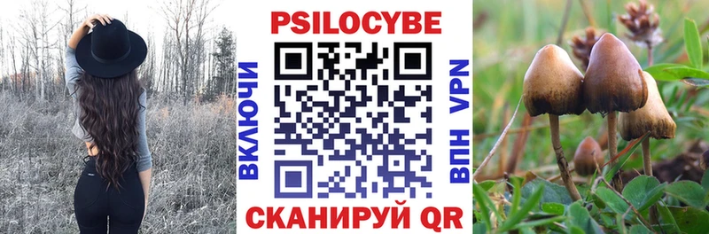 Псилоцибиновые грибы Psilocybine cubensis OMG вход Емва купить наркотик